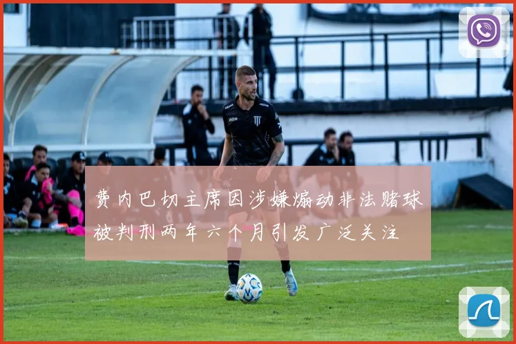费内巴切主席因涉嫌煽动非法赌球被判刑两年六个月引发广泛关注