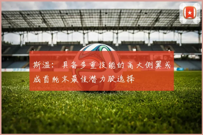 斯温：具备多重技能的高大侧翼或成首轮末最佳潜力股选择